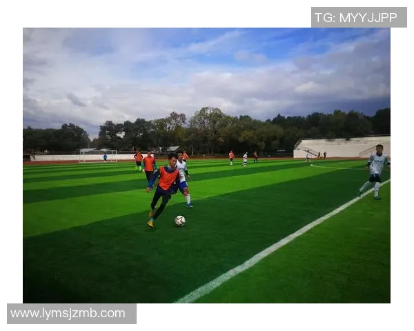 杭州足球队杯赛技术分析与表现评估全面解读