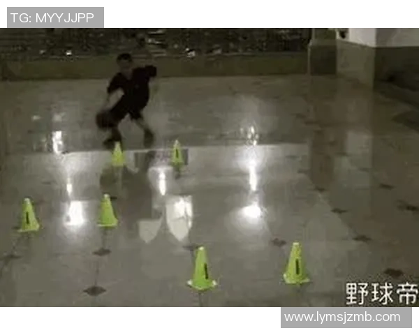 从零开始：篮球灵活性完全攻略